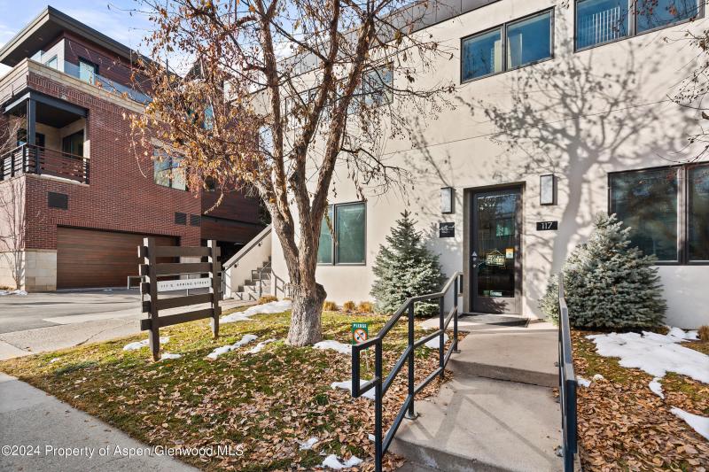 117 S Spring Street #A & B, Aspen