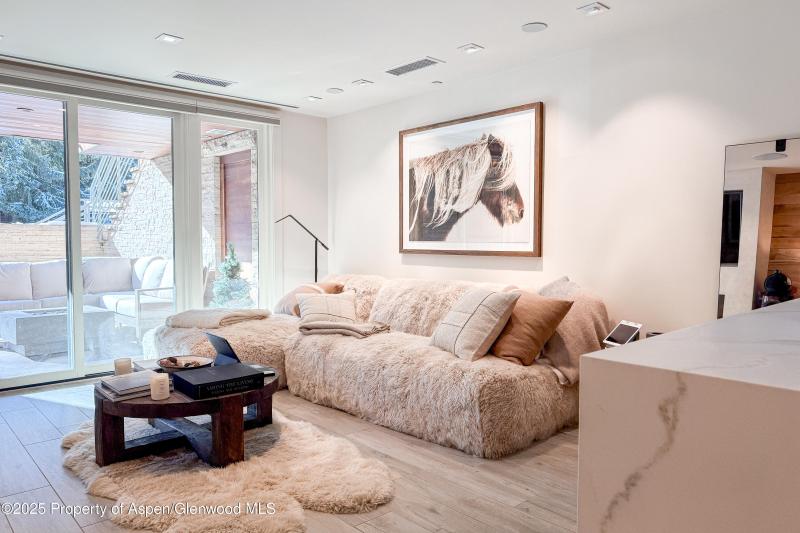 100 E Cooper Avenue #4, Aspen