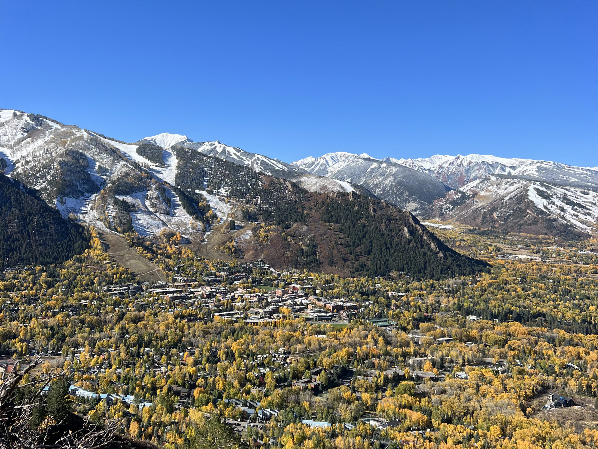 Fall In Aspen Display Image